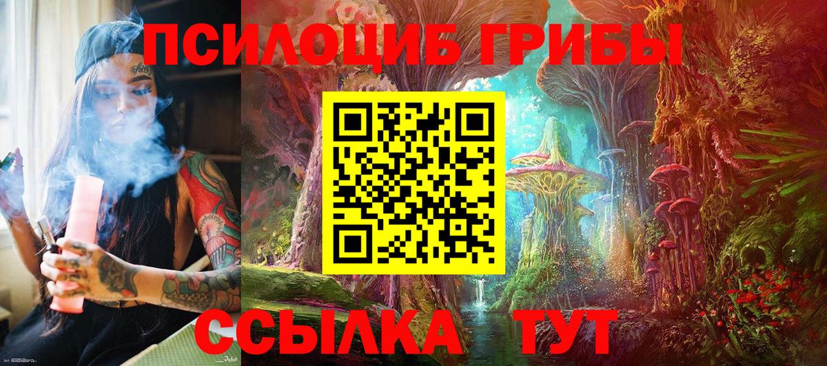 Вичуга  Галлюциногенные грибы Psilocybe  Вход с VPN 